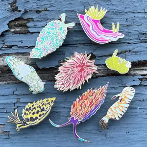 Nudibranch enamel pins set by Owl And Bear Art Studio