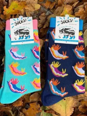 Funky nudibranch socks Owl And Bear Art Studio

