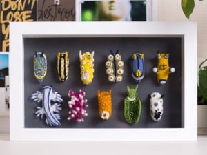 Display box with nudibranch sea slugs decor Wool Creature