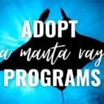 adopt a manta ray programs list