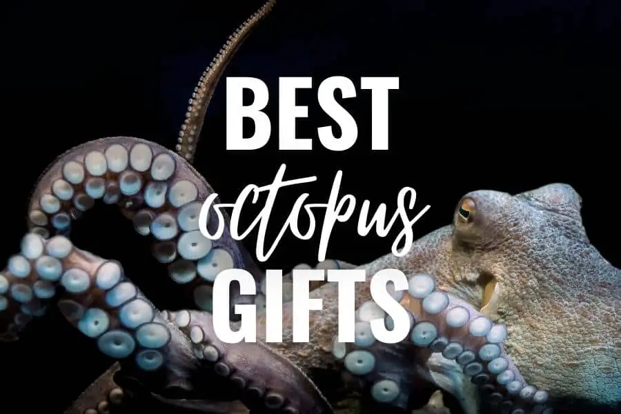 best octopus gifts