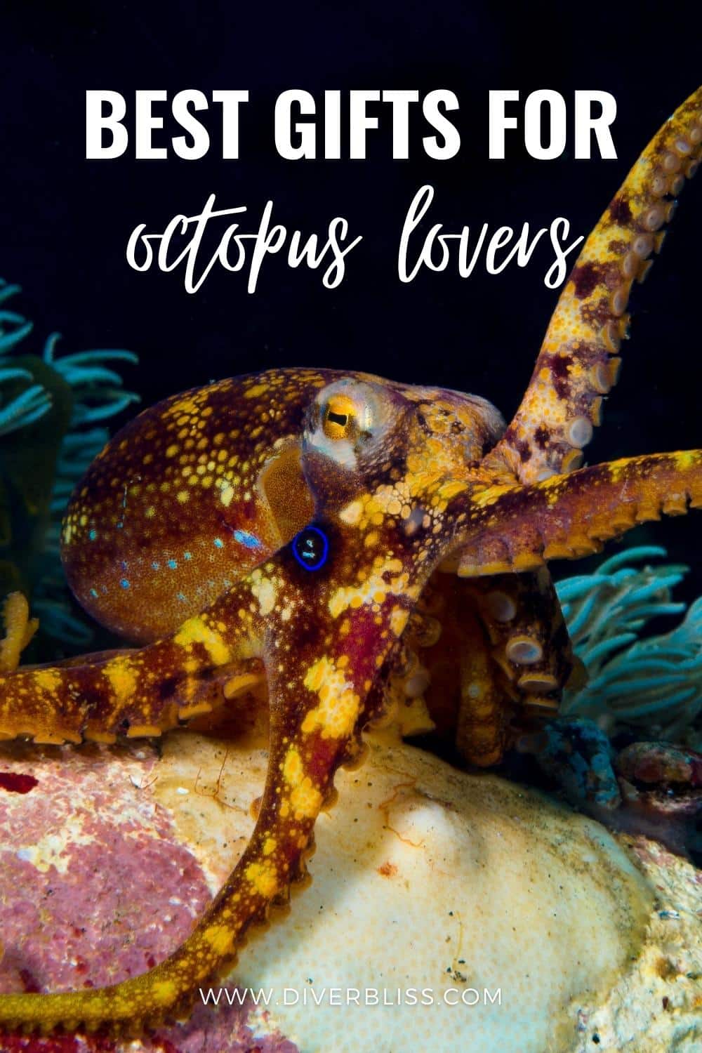 best gifts for octopus lovers