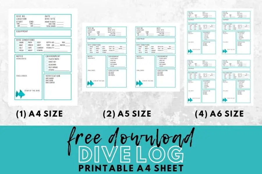 dive log sheet in blue