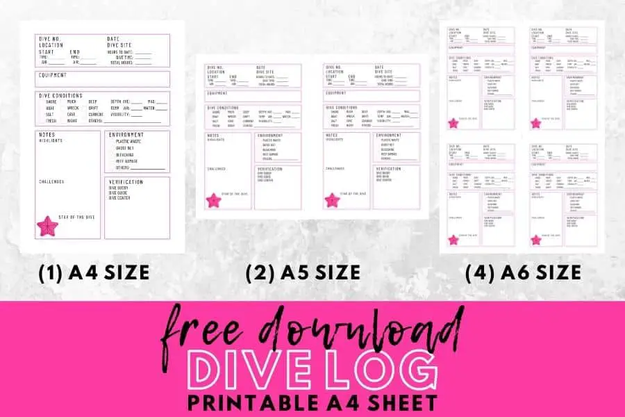 dive log template in pink