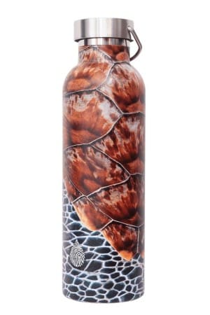 Waterlust sea turtle insulated water bottle