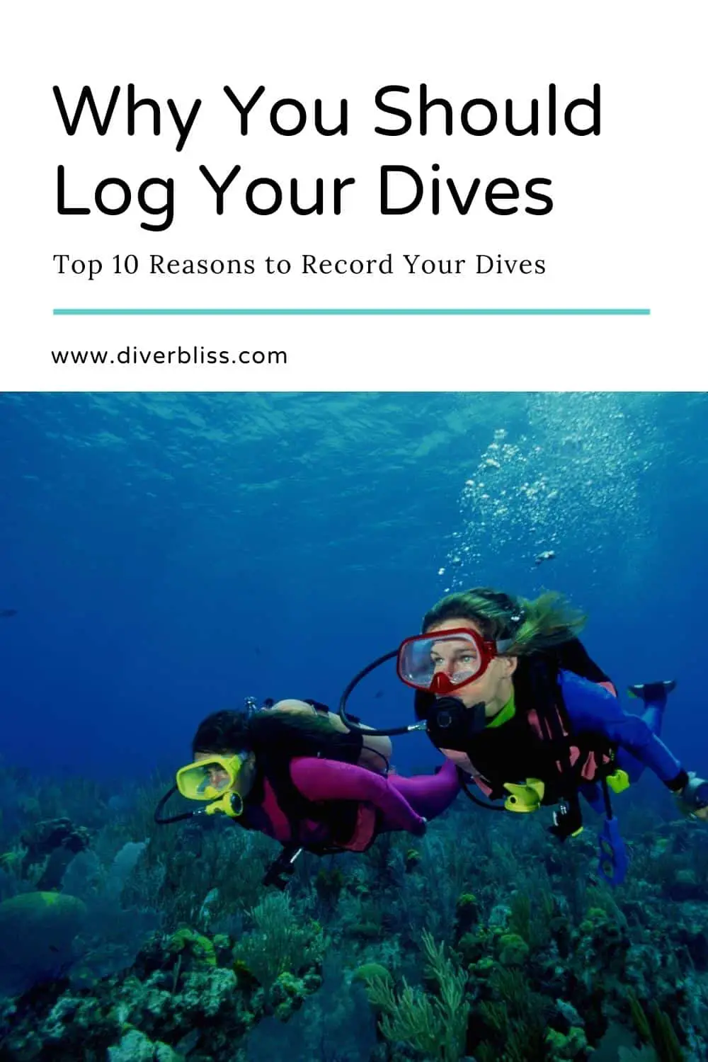 why you should log your dives
