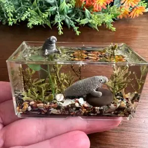 Mini manatee aquarium by Jet and Jones