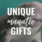 unique manatee gifts