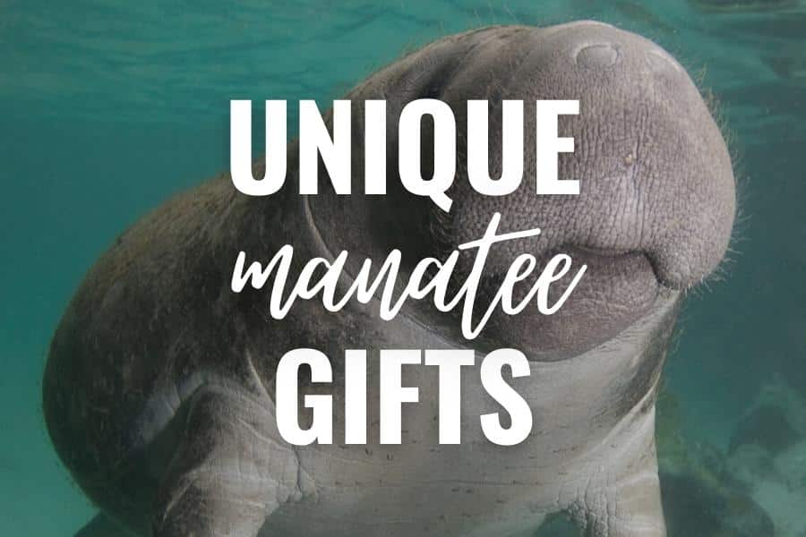 unique manatee gifts