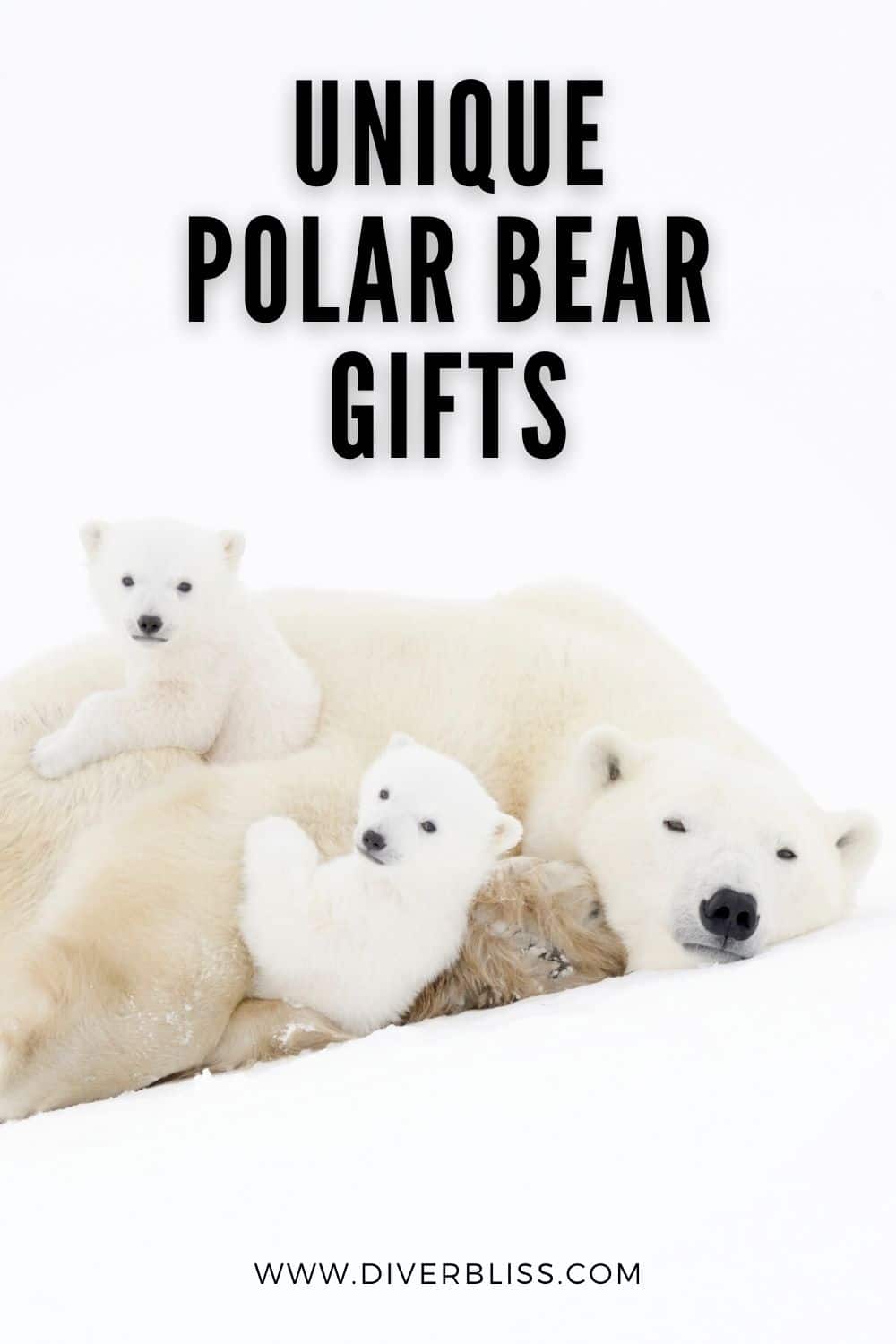 Unique Polar Bear Gifts