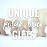 Unique polar bear gifts