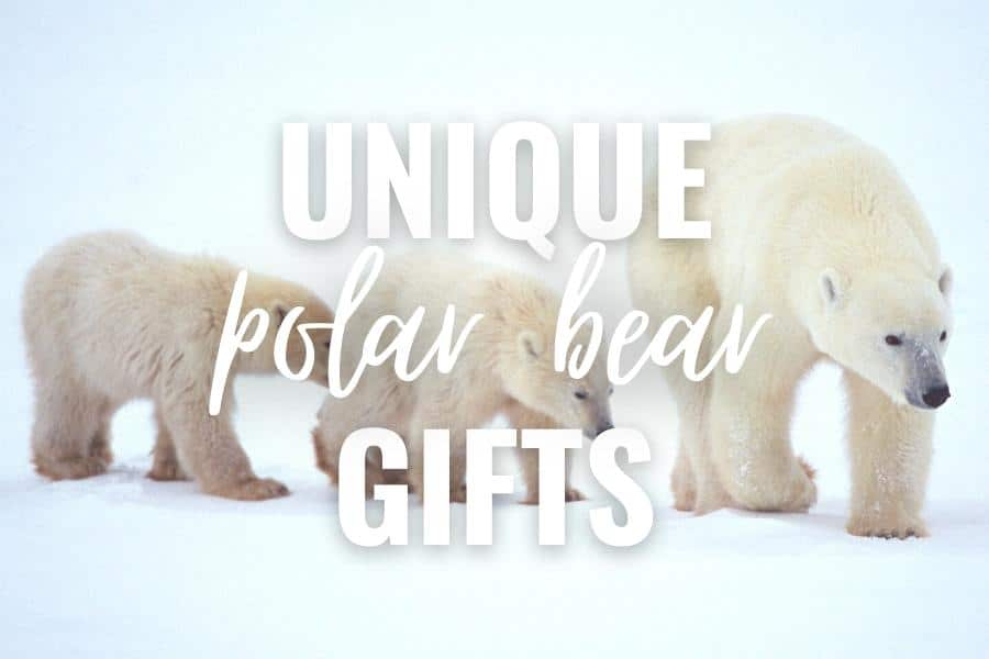 Unique polar bear gifts