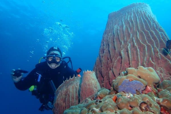 Diver beside a huge barrel sponge