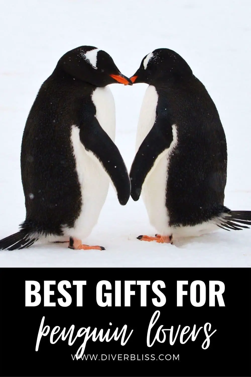 best gifts for penguin lovers