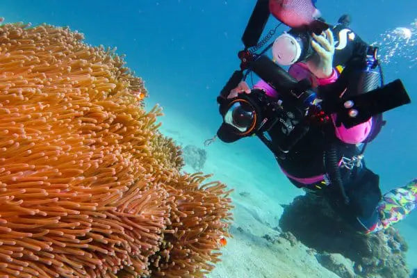 diver taking photos of a clownfish