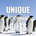 unique penguin gifts