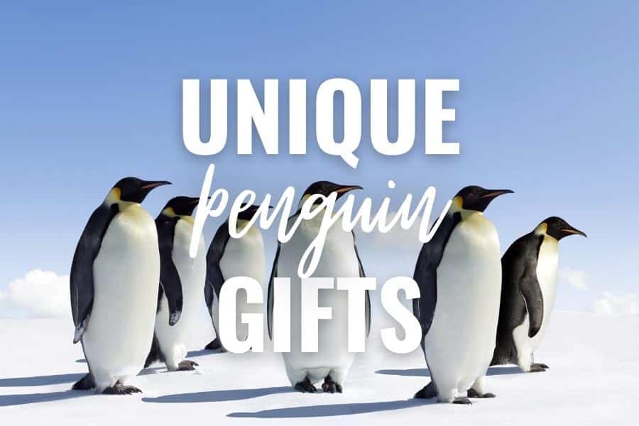 unique penguin gifts