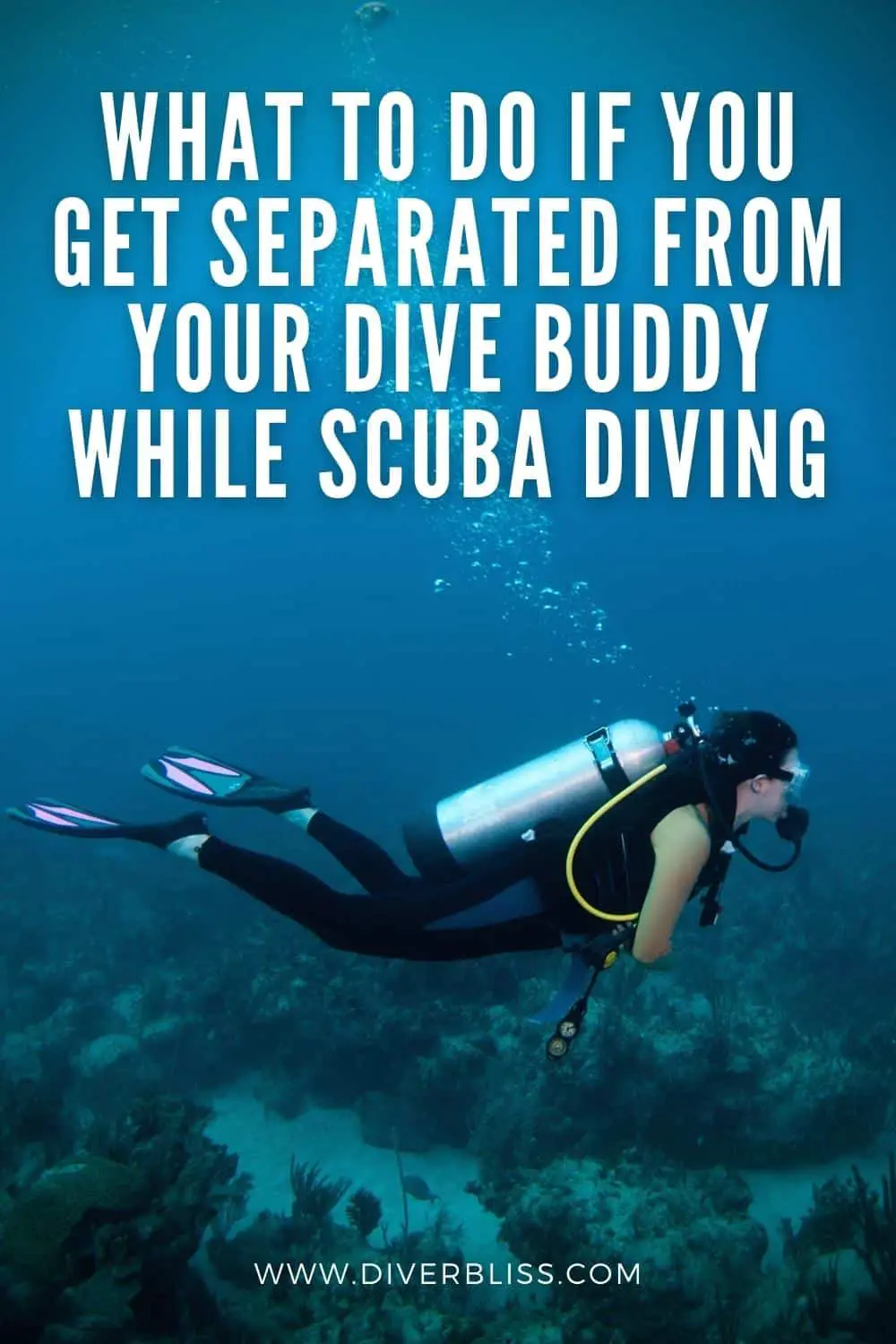 what to do if you get separated from your dive buddy while scuba diving