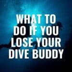 what to do if you lose your dive buddy