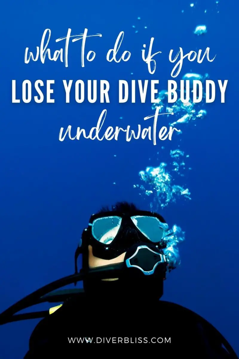 What To Do If You Lose Your Dive Buddy Underwater?