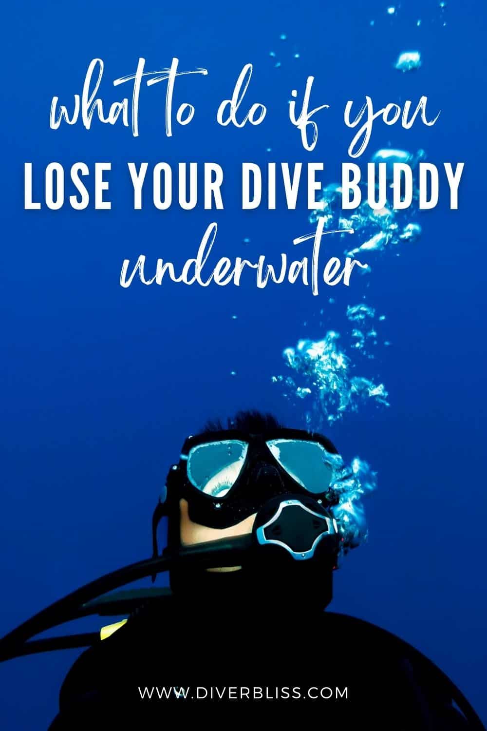 what to do if you lose your dive buddy underwater