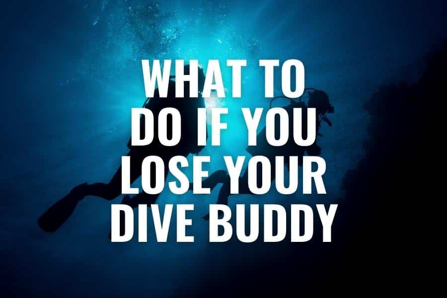 what to do if you lose your dive buddy