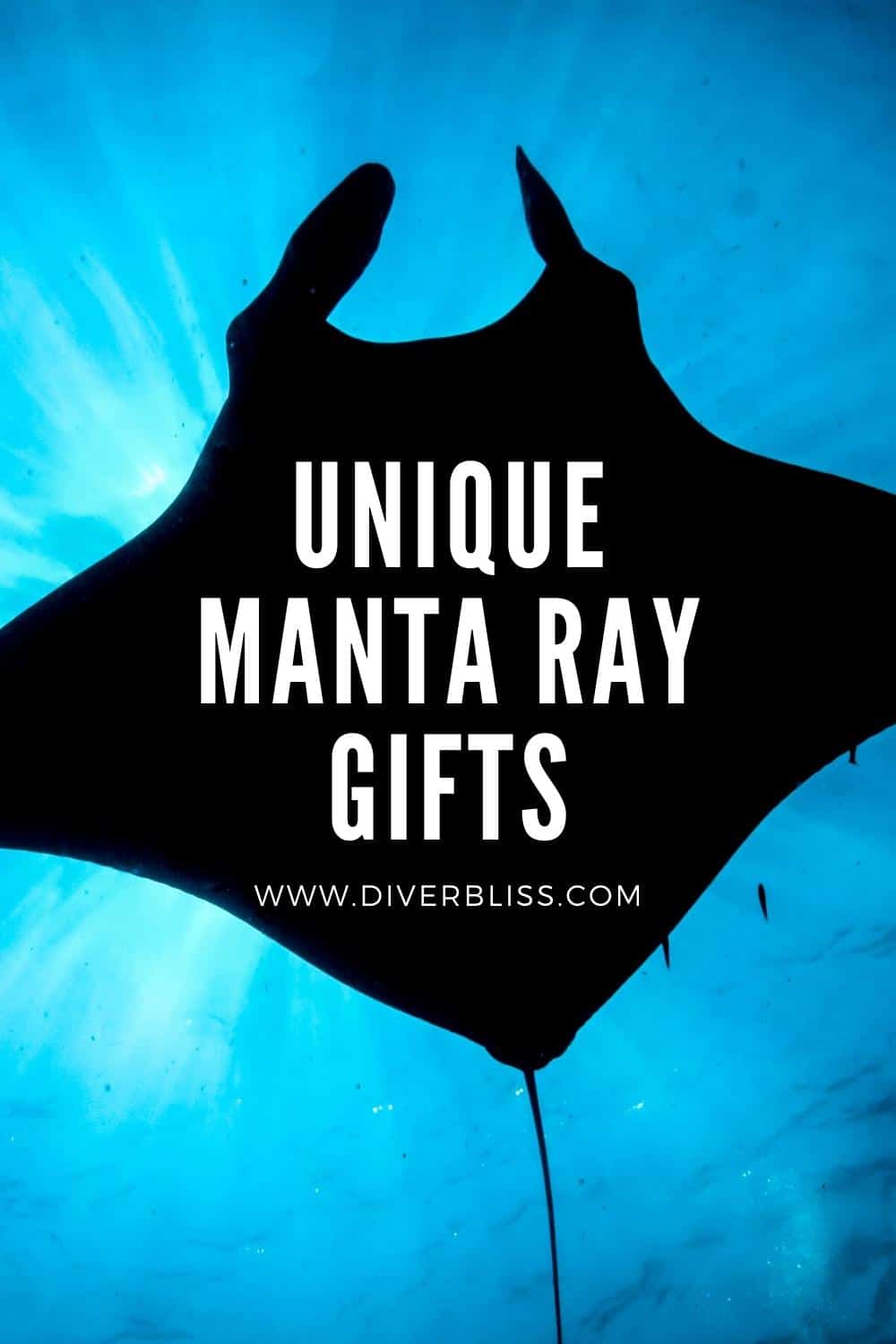 unique manta ray gifts