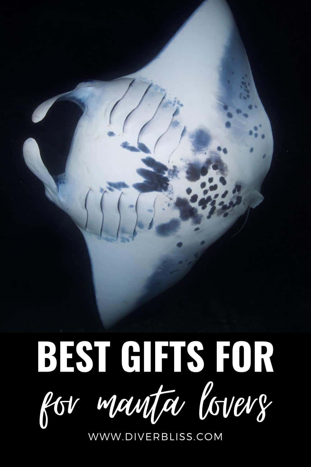 best gifts for manta lovers