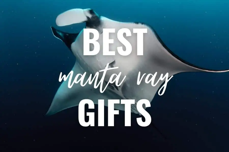 best manta ray gifts
