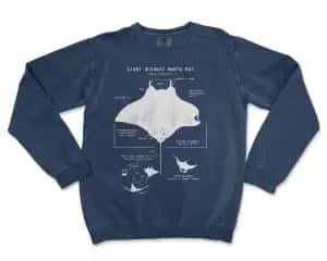 Manta Ray Anatomy Sweatshirt by Life Shines
