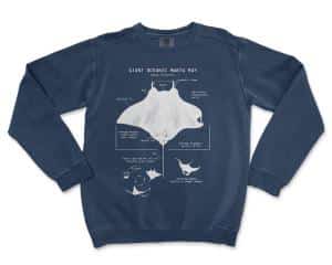 Manta Ray Anatomy Sweatshirt by Life Shines