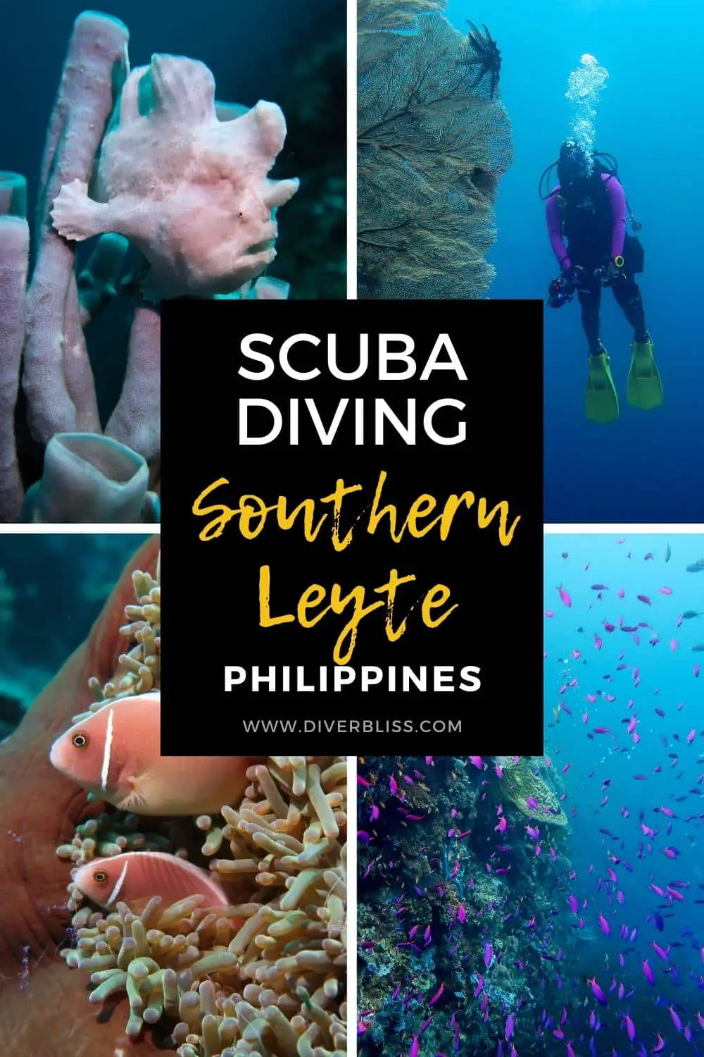 scuba diving southern leyte philippines