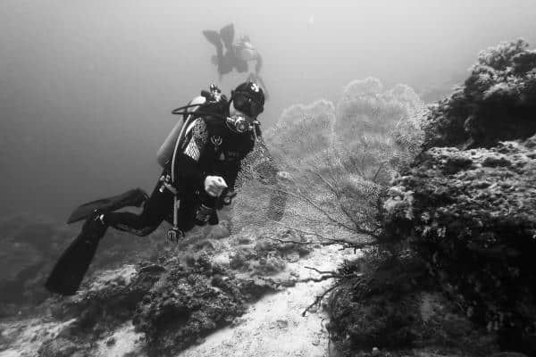 Scuba diving Mactan, Cebu