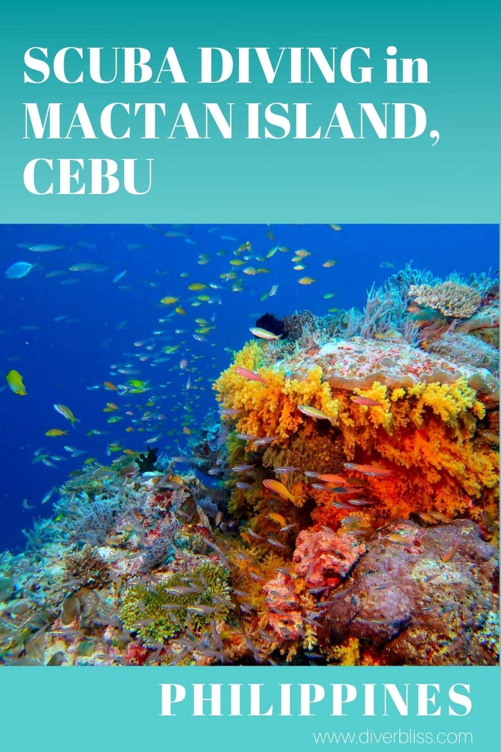 scuba diving in mactan island, cebu, philippines