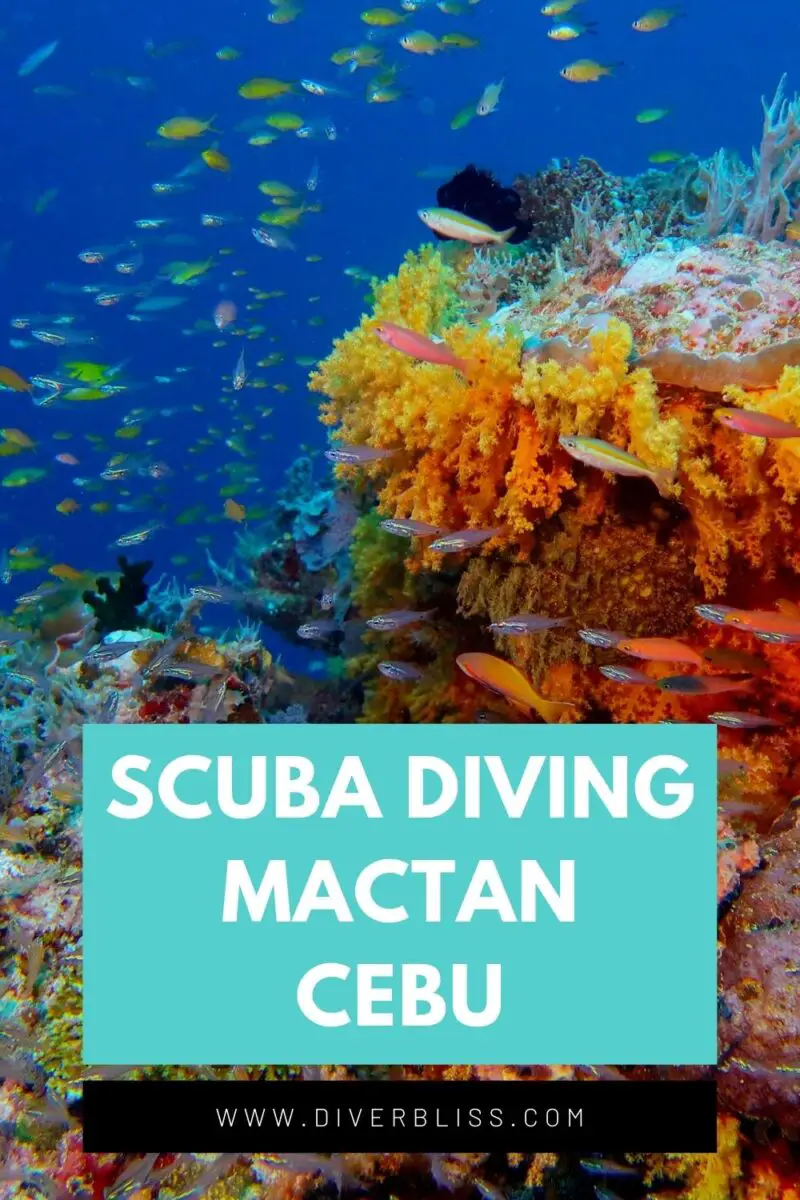 Scuba Diving Mactan And Olango Island In Cebu