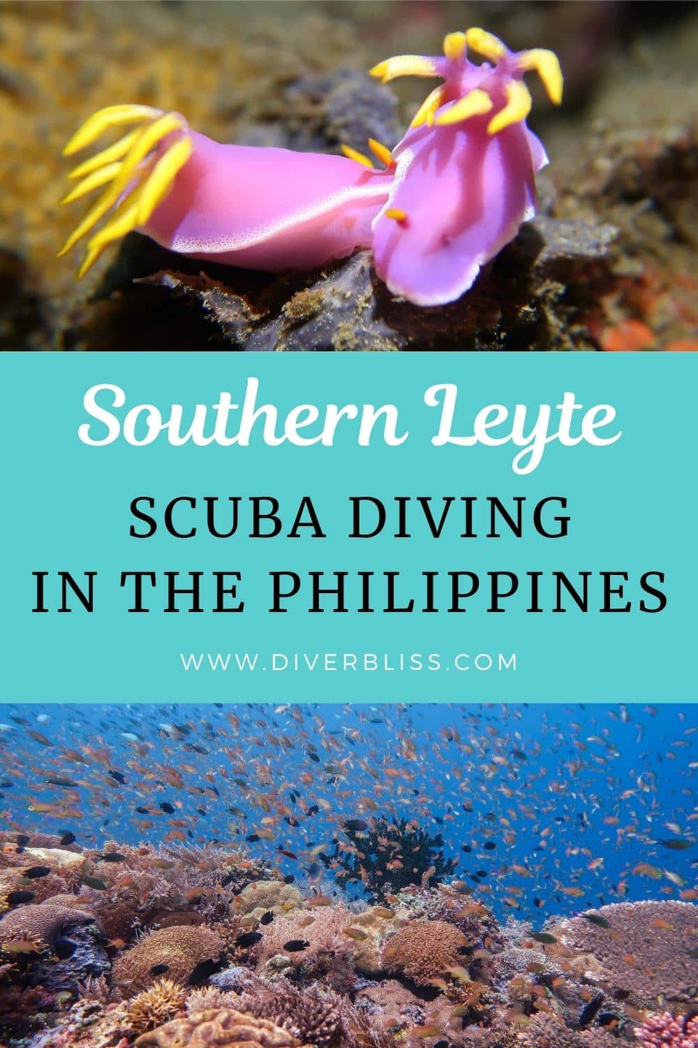 southern leyte scuba diving in the philippines