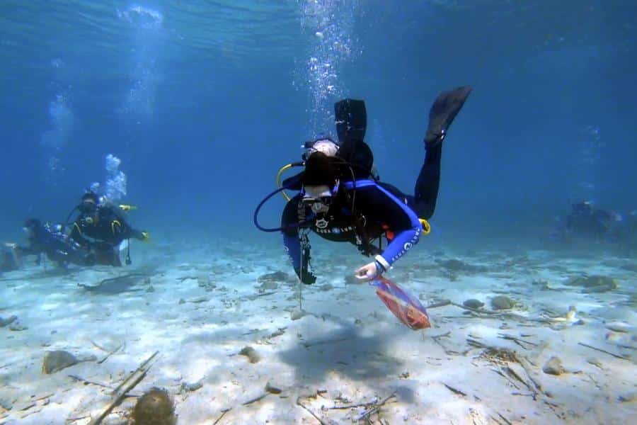 Divers during an underwater cleanup