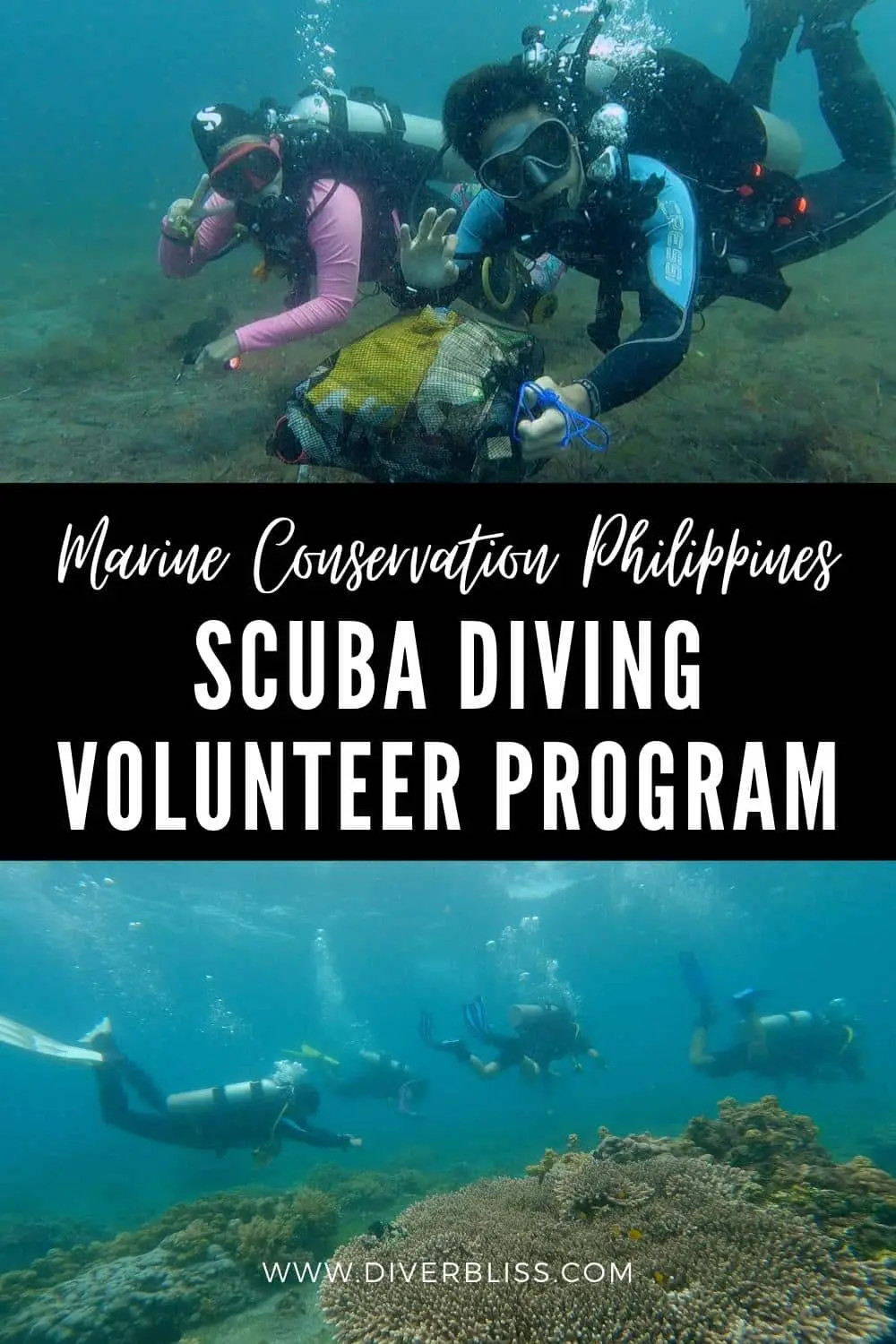 Marine conservation Philippines scuba diving volunteer program