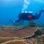 Diving Zamboanguita Malatapay