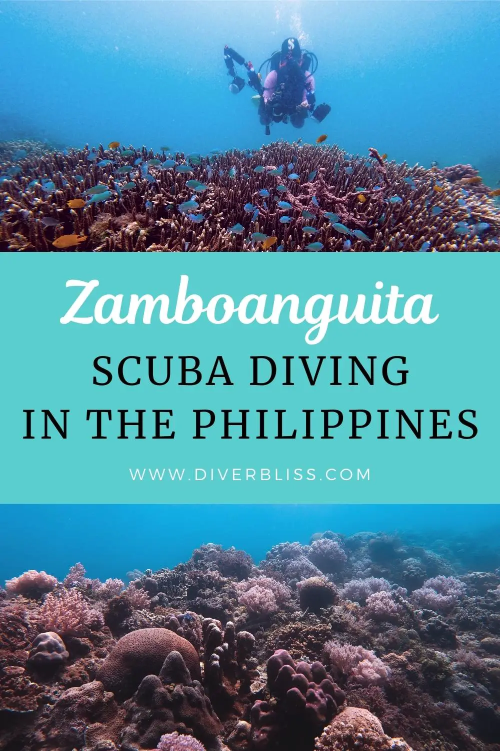 Zamboanguita scuba diving in the Philippines
