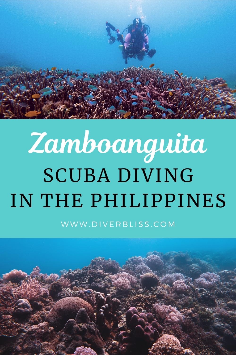 Zamboanguita scuba diving in the Philippines