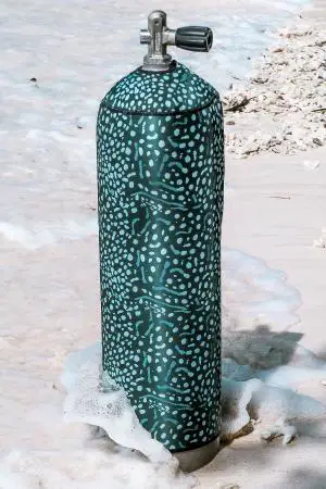 neoprene whale shark scuba cylinder cover from Girls That Scuba