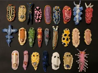 nudibranch figurines by Lady Janes Curiousities
