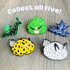 Nudibranch pins from Fin Pin Shop