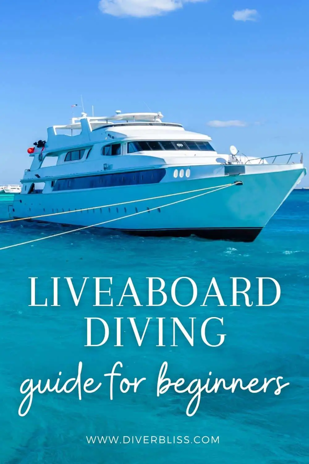 liveaboard diving guide for beginners