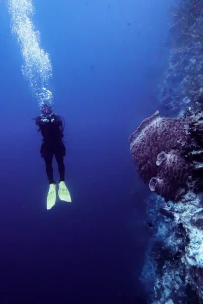 diver beside a barrel sponge