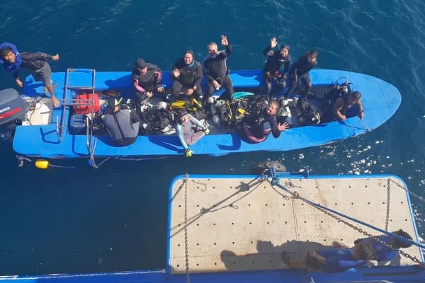 Dolphin Tubbataha liveaboard boat