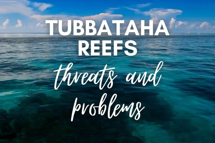 Tubbataha reefs threats and problems