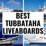 best tubbataha liveaboards