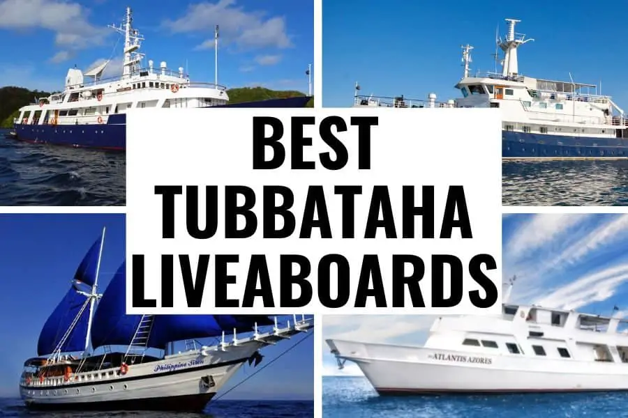 best tubbataha liveaboards